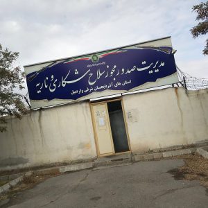 حمل سلاح شکاری
