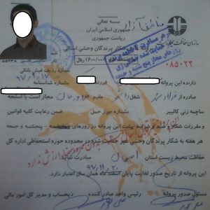 شکار